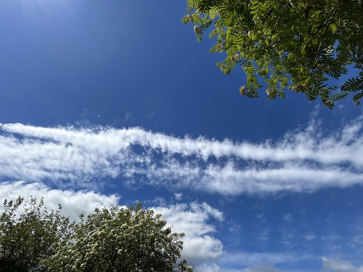 chatswithem's tweet photo. Another day that started blue and by lunchtime became solid cold grey 

#makeourskiesblueagain 
#stopgeoengineering https://t.co/8JoV8buJA2