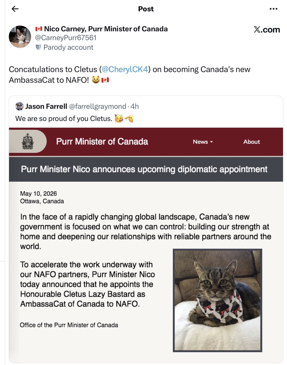 Cheryl CK 🎗️ tweet media