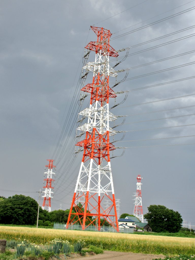 STOS_rapidexp's tweet photo. 雷雲の背に建つ西越谷線の紅白鉄塔
#鉄塔 #土曜日の鉄塔 
#チーム鉄塔沼
#送電線 #送電鉄塔 https://t.co/JDbMWOcNnh