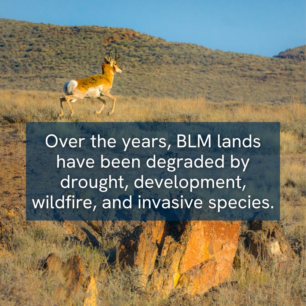 National Wildlife Federation Action Fund tweet media