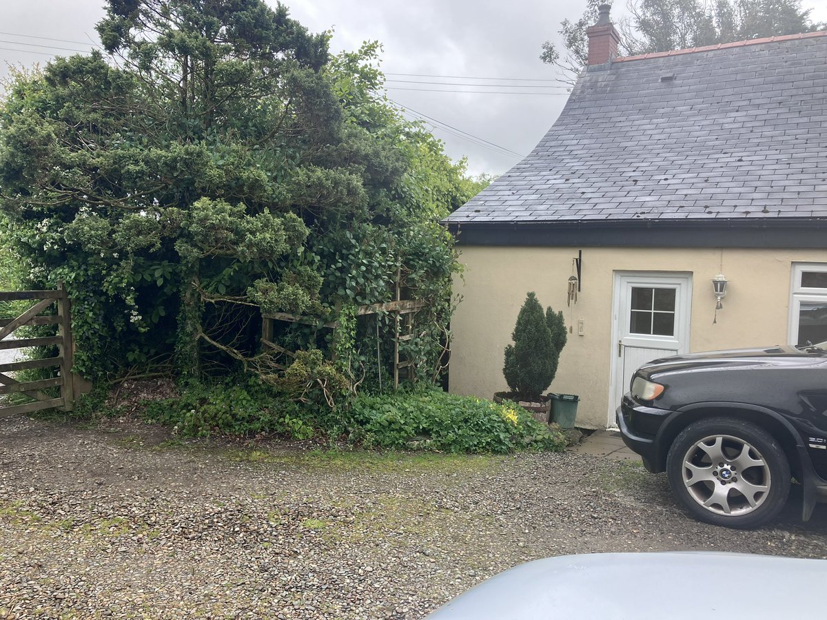 EliotJay's tweet photo. Ordered some items on @eBay which they and @YunExpress / yodel claim have been delivered and despite customer rights 2015 are refusing to refund. CS at eBay claimed ‚not to know British law and that eBay policy overrides (it does not). Yellow is house Green door not on postcode. https://t.co/6j1jTjLuun