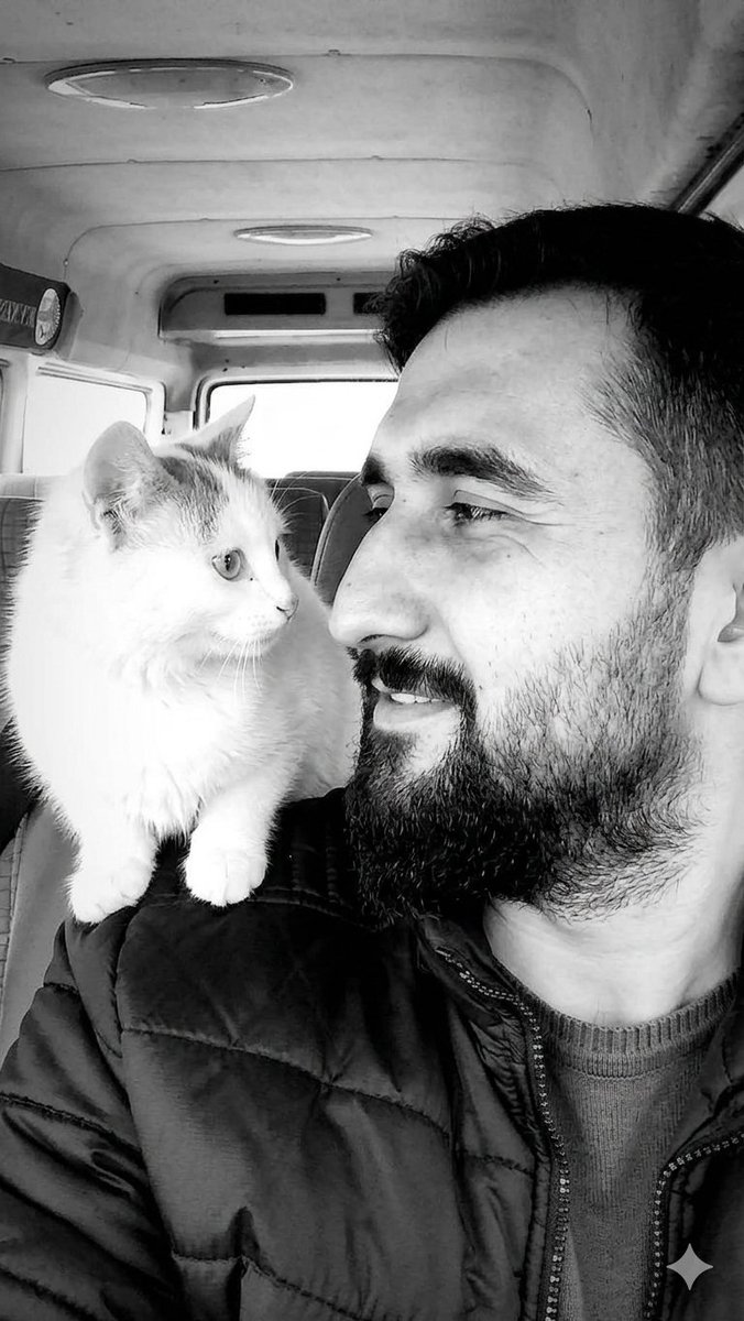 ORHAN tweet media