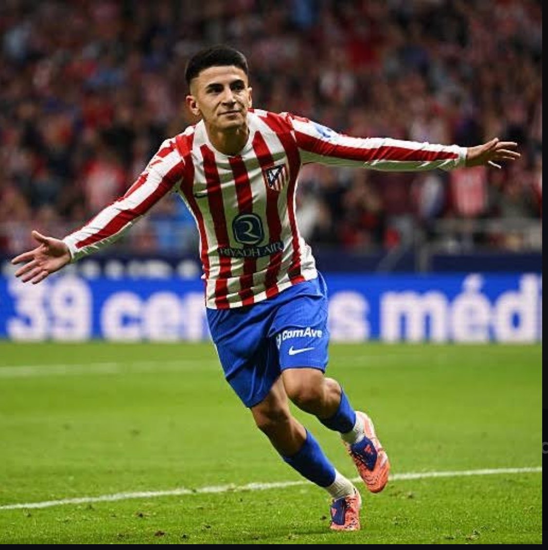 Seba Infanzon tweet media