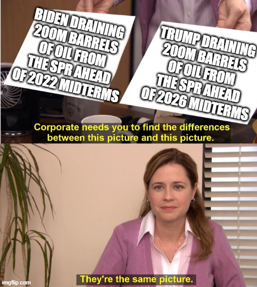 Quinn Thompson tweet media
