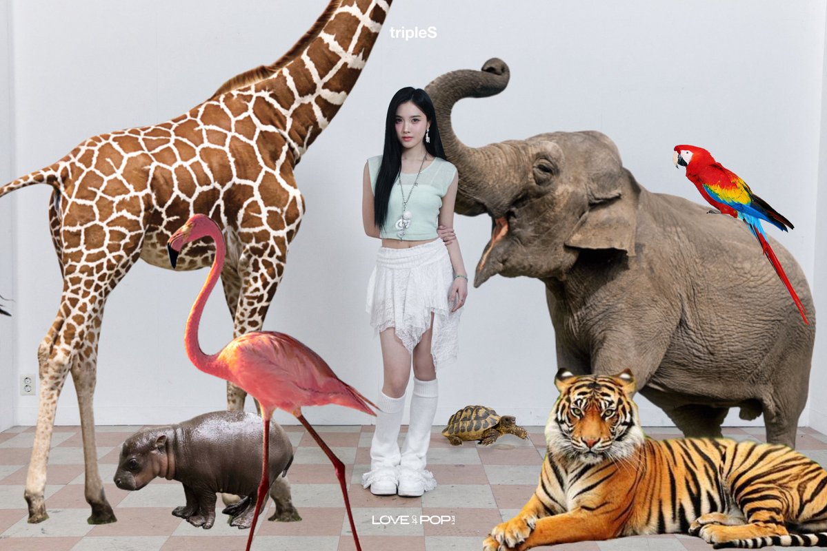 에버그린 : 𝐍𝐀𝐈𝐋 ® tweet media