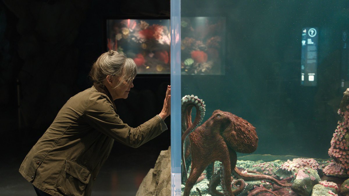 akosikeso's tweet photo. "Why can humans not use their millions of words to simply tell one another what they desire?"
#RemarkblyBrightCreatures https://t.co/NnTwPmKP5m