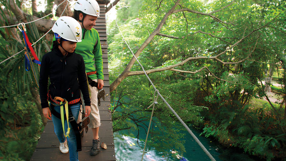 Experiencia Nómada tweet media