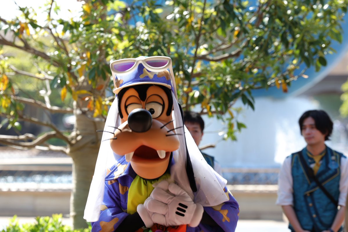 目の前にグーフィー #グーフィー #東京ディズニーシー 2026年5月13日