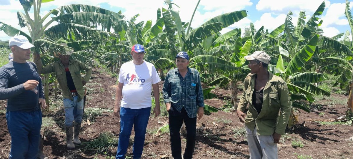 LorenzoOsbel's tweet photo. En la visita realizada a los autoconsumos de varias empresas se pudo comprobar que existen avances, pero están aún muy distantes de lo que se necesita #LasTunas #PorLasTunasLaVictoria #SíSePuede https://t.co/EBoHaaY5XO