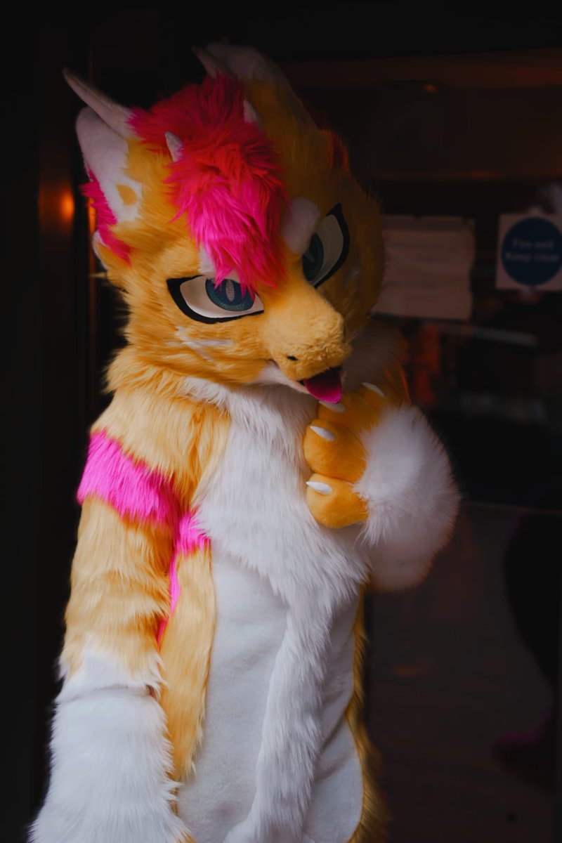 SparkL 🔞 🔜 CFZ tweet media