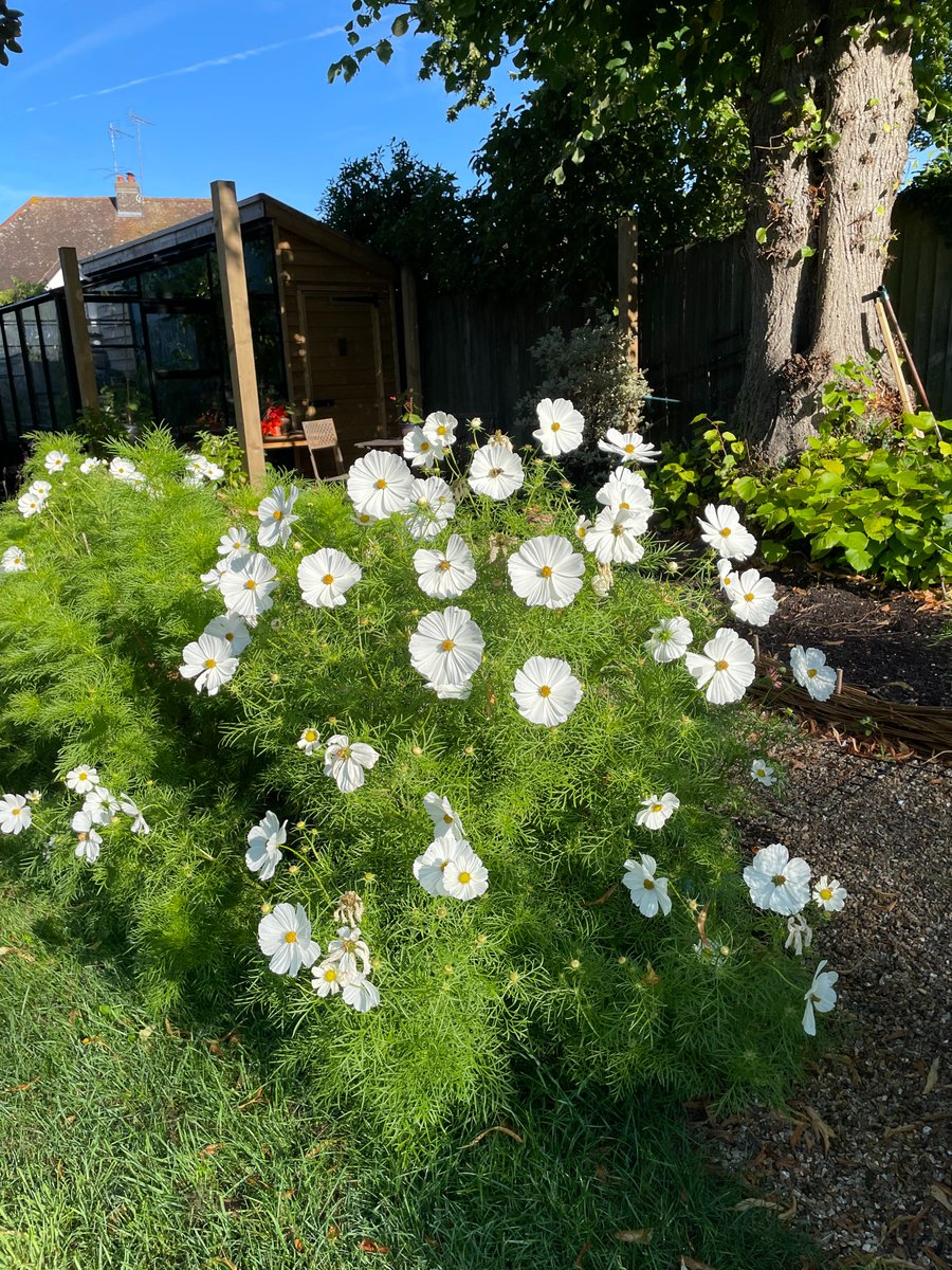 TLC_Universal's tweet photo. My wife is facing the final chapter of her life with incredible grace, surrounded by the garden she lovingly created.  Every contribution, shows her she's not alone. Please consider donating or sharing - Mark https://t.co/M3JqPu181z https://t.co/G16iPidRlI