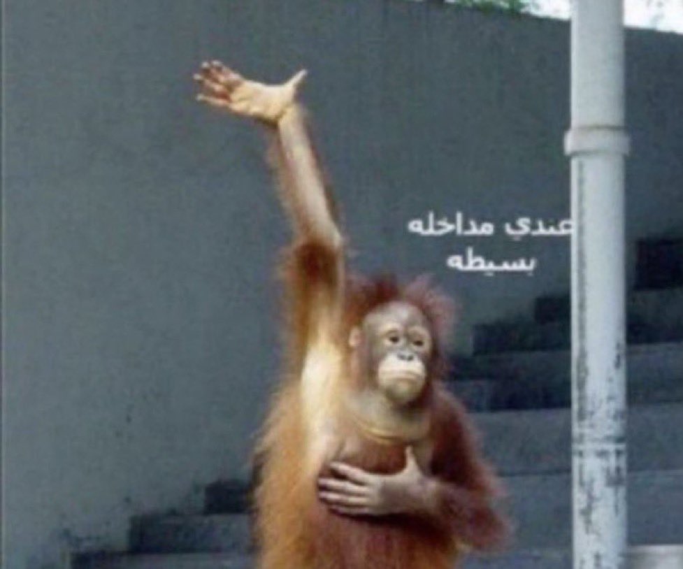 #نايف_ يتغير tweet media