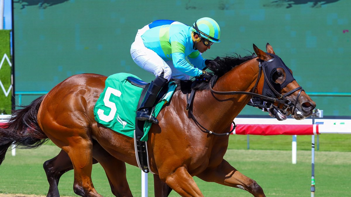 GulfstreamPark's tweet photo. Fly Erik Fly chases down Shinigami to score in race 6, Miguel Vásquez aboard for trainer Beau Chapman, owner Skymac Stables, and breeders Mike Heitzmann, Eric Heitzmann &amp; Jeff Prunzik. #GulfstreamPark #RoyalPalmMeet https://t.co/6TcQFhoWQ6