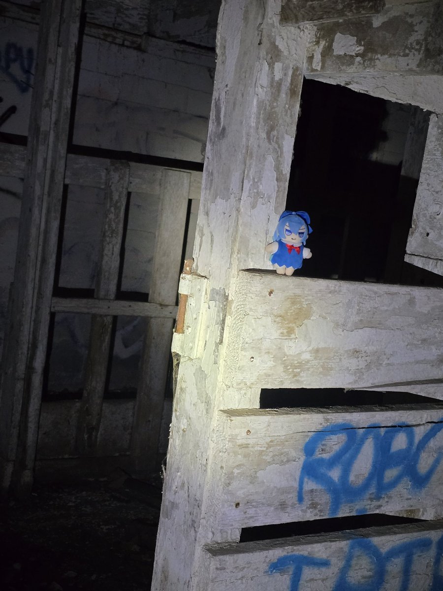 CirnoFumo⁹ tweet media