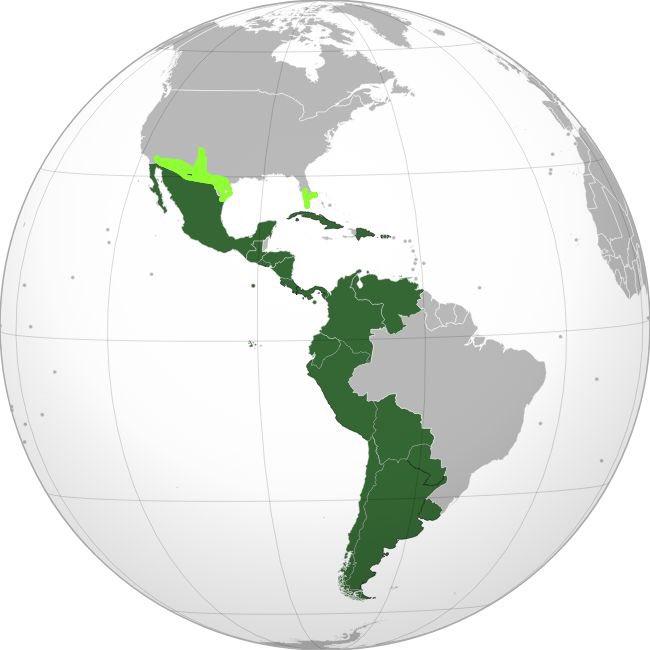 ramon_gozlingo tweet media