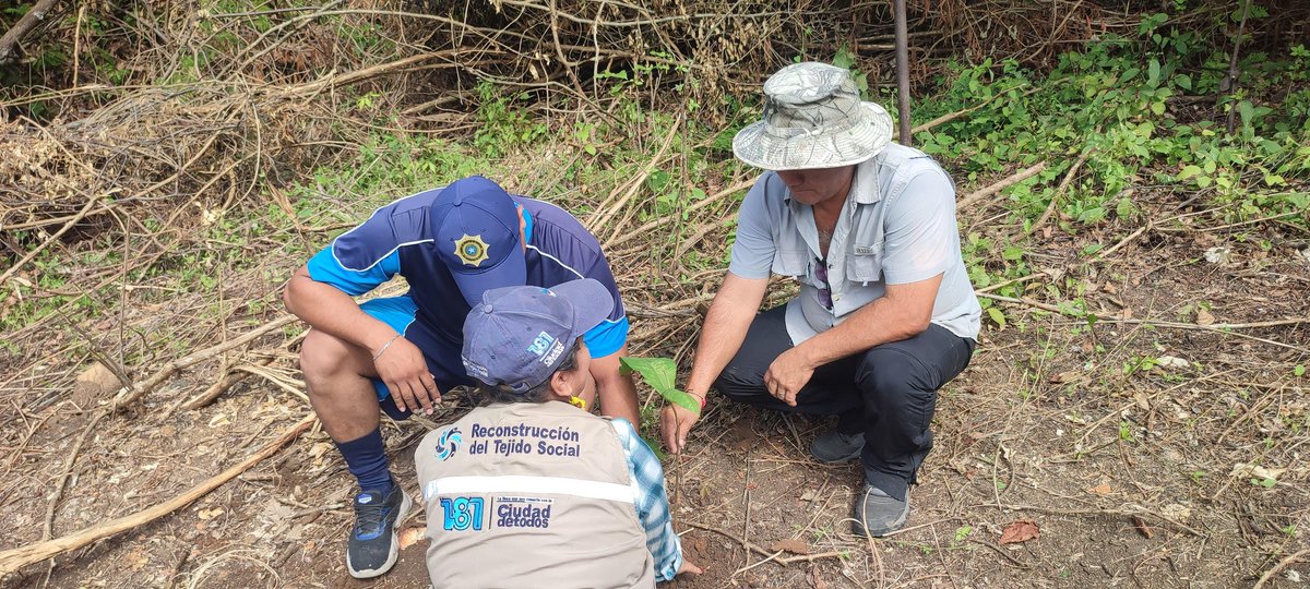 AlexAnchundi's tweet photo. ¡690 árboles nativos para Guayaquil! 🌳

Reconstrucción del Tejido Social y Agentes de Control Municipal se sumaron a “Sembratón: Comunidades que Siembran” en la Coop. Huertos y Jardines. 

Vecinos, Generoca, @worldvisionec y @segura_ep juntos recuperando espacios públicos. https://t.co/4CjqHMhk3z