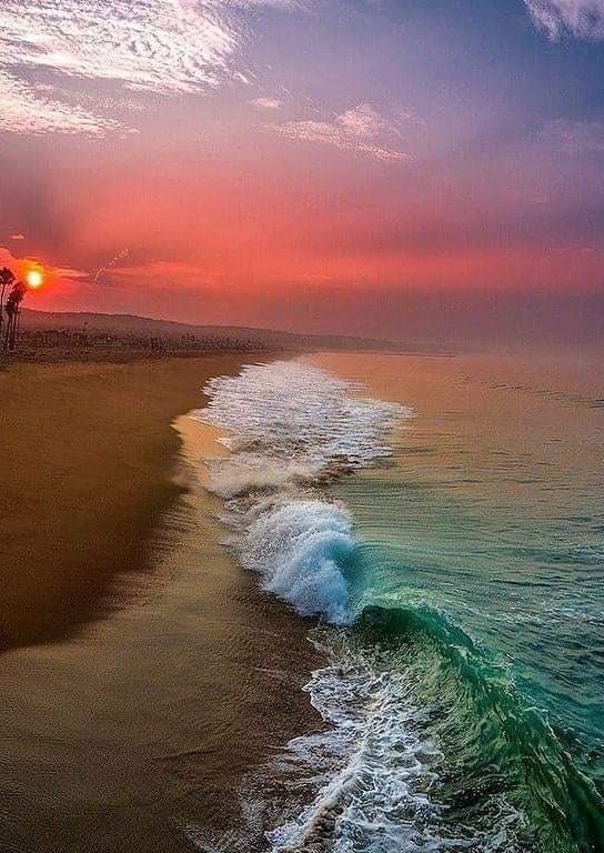 Earth Pictures tweet media