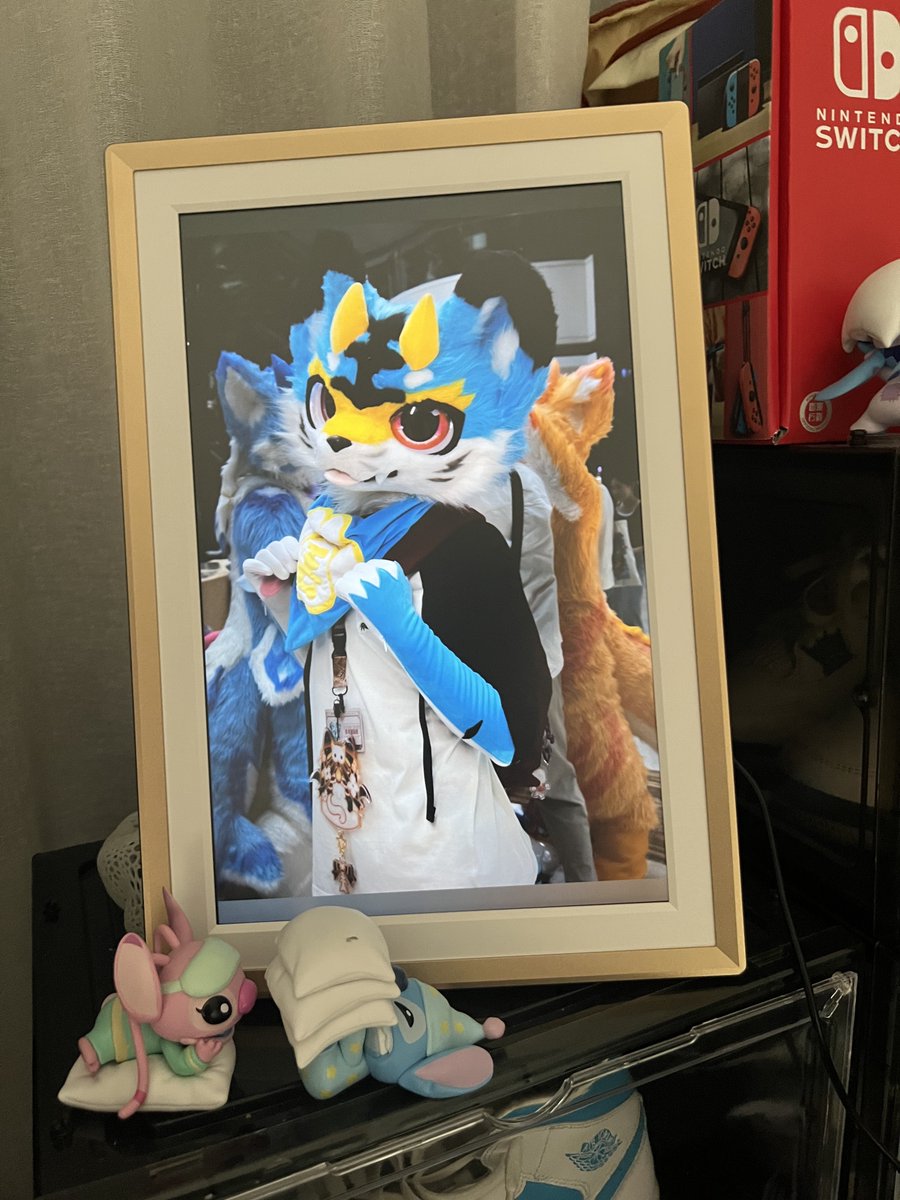 丢丢的日子→绒萌 tweet media