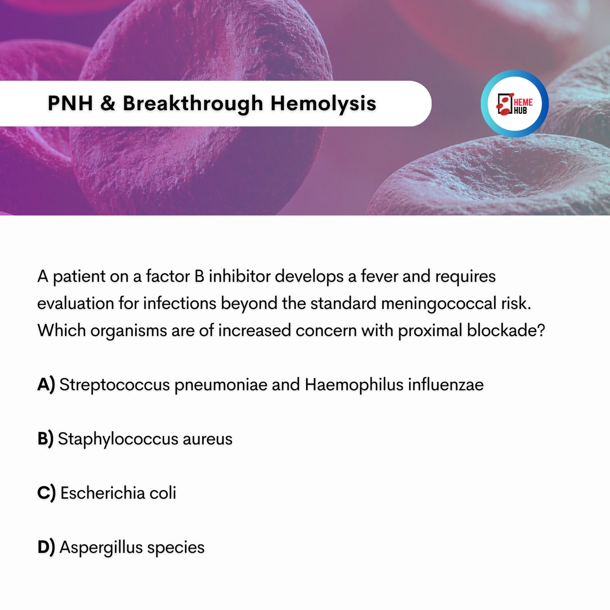 HemeHub's tweet photo. 🩸🚀Today’s questions!           

Swipe to see the answers and explanations!

#PNH #ComplementInhibition #FactorBInhibitor #InfectionRisk #Hematology #HemeOnc #Hemolysis #ExtravascularHemolysis #IntravascularHemolysis #Reticulocytosis #LDH #BreakthroughHemolysis #BoneMarrowResponse #MedicalEducation #ClinicalEducation #MedEd #HEMEHUB