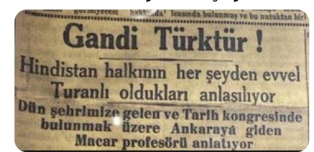 Papillon (yeni hesap) tweet media