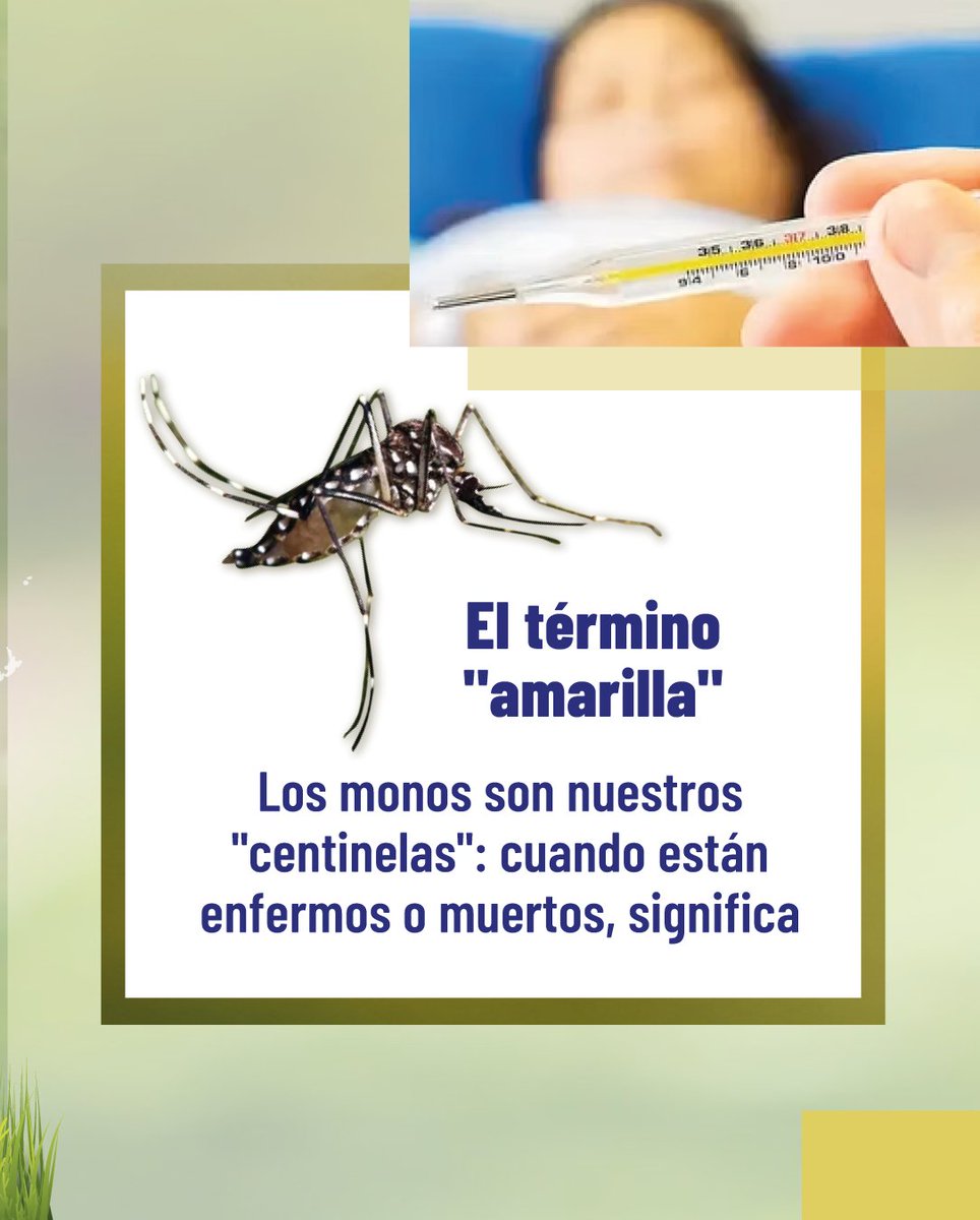 Ministerio de Salud Pública 🇪🇨 tweet media
