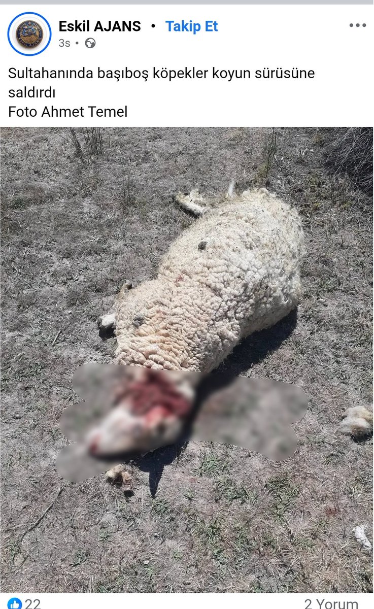 Hem-Razî tweet media