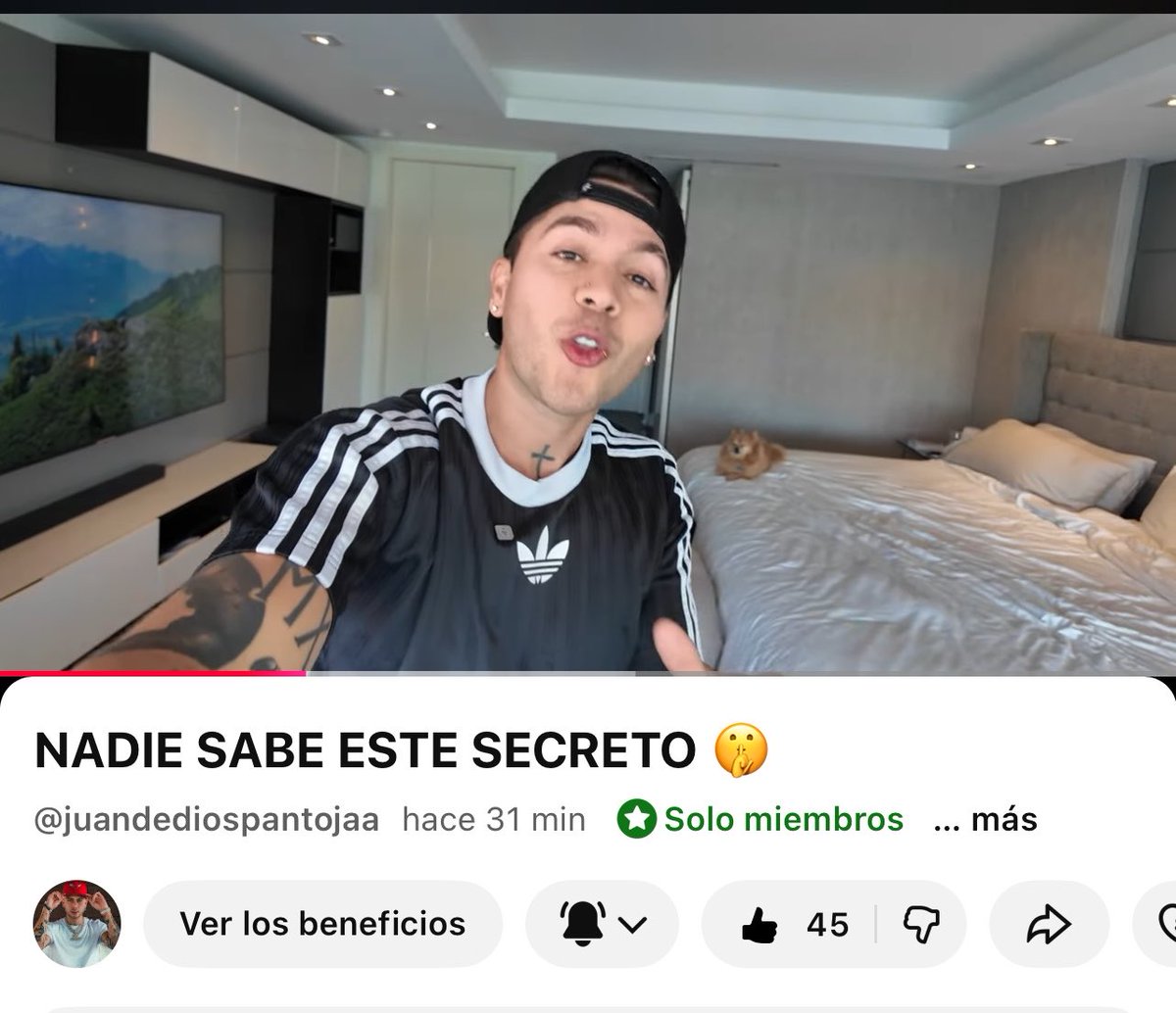 belén_rozas💎🇨🇱 tweet media