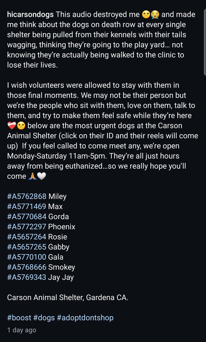 Foster a shelterpet at ZERO COST🐾 tweet media