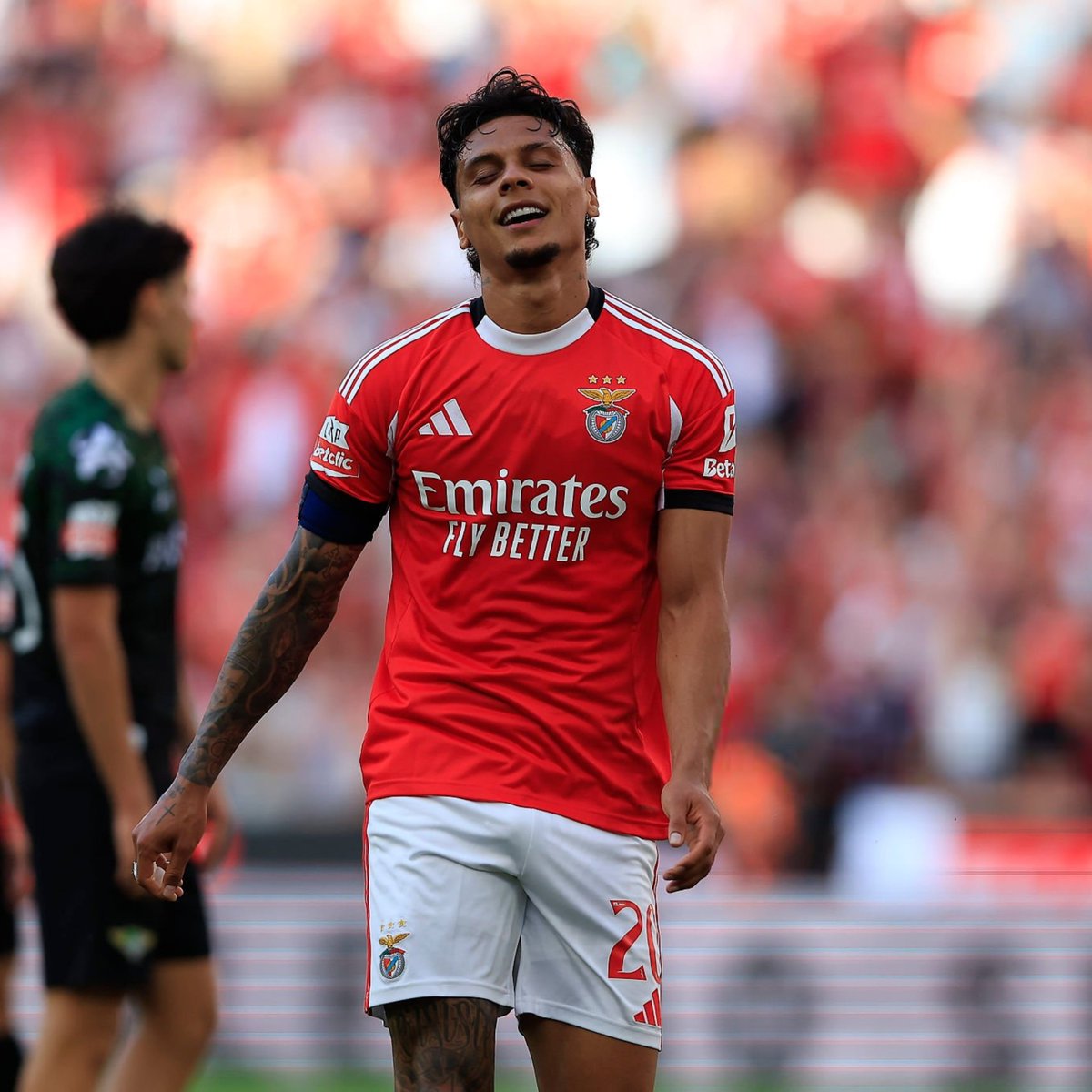 lnstantFoot's tweet photo. 🚨 Richard Rios est en FEU avec le SL Benfica ! 🇨🇴🔥

⚽️ vs Estoril
⚽️ vs Famalicão
⚽️🎯 vs Moreirense https://t.co/UHcO82RQGY
