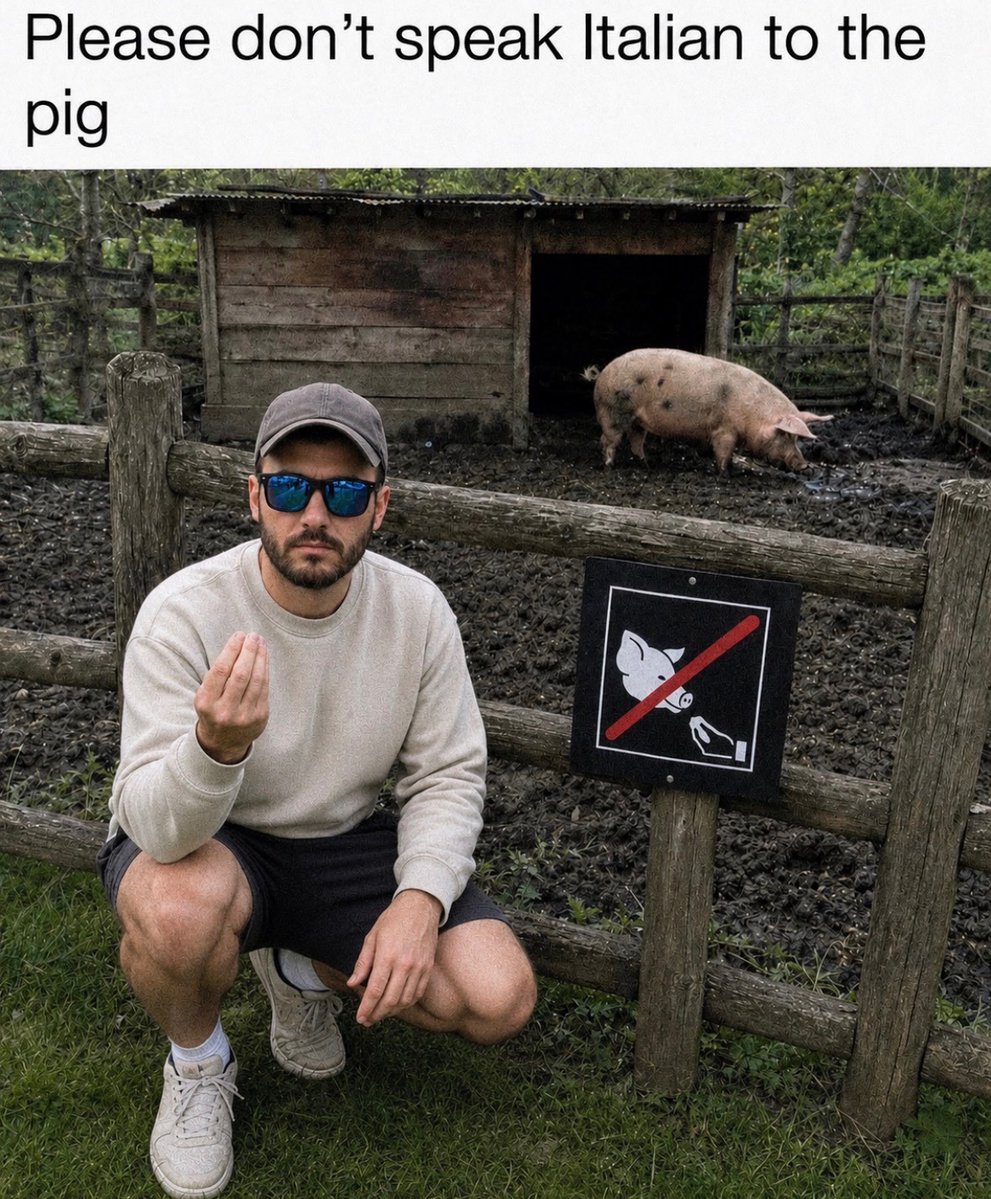 Respectful Memes tweet media