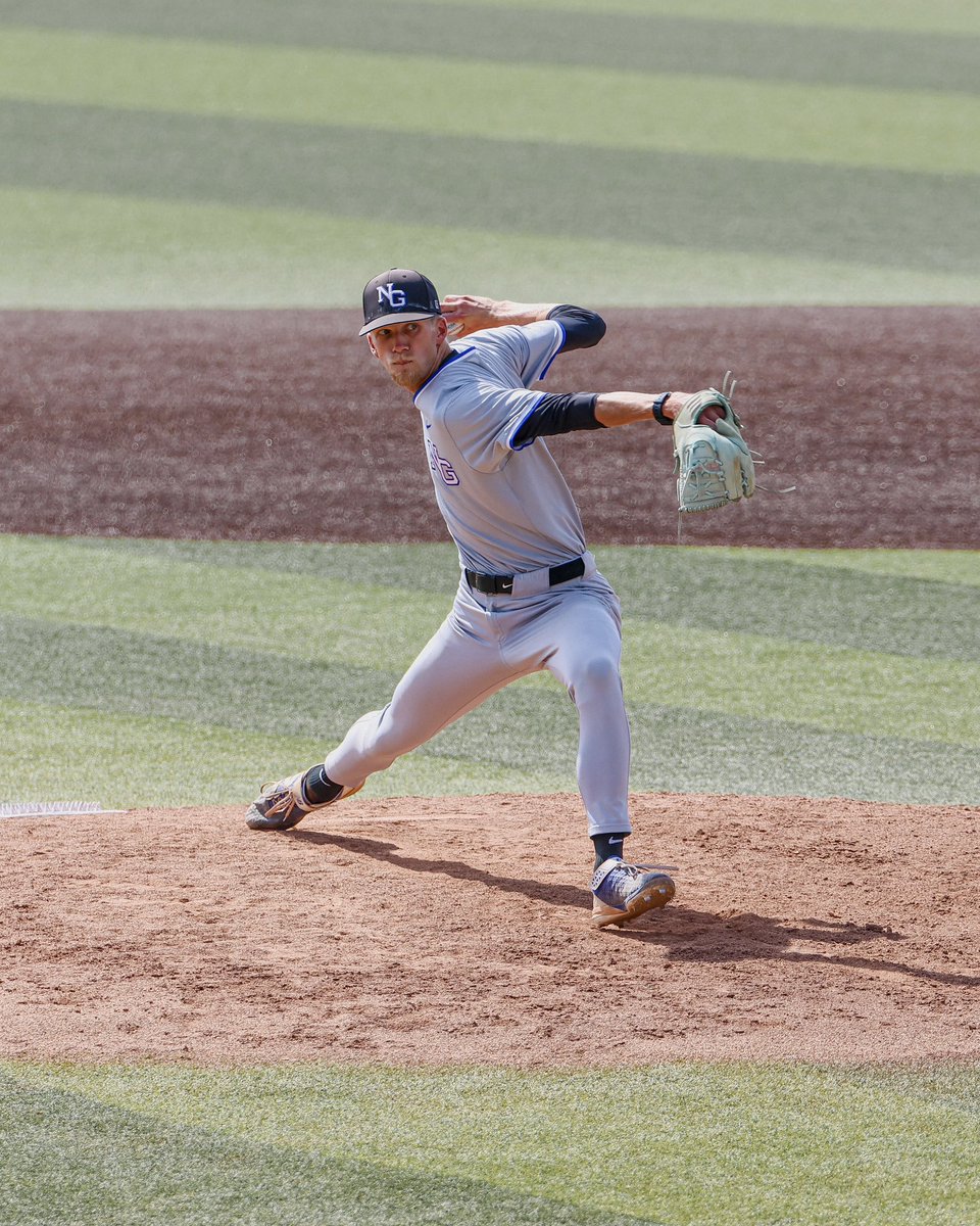 UNG Baseball tweet media