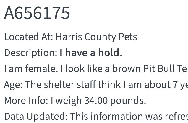 @PawsnTails4TX 🇺🇸🇺🇸🐾🐾 tweet media