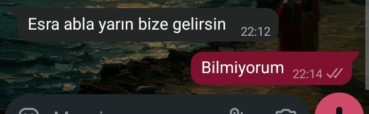 Esra tweet media