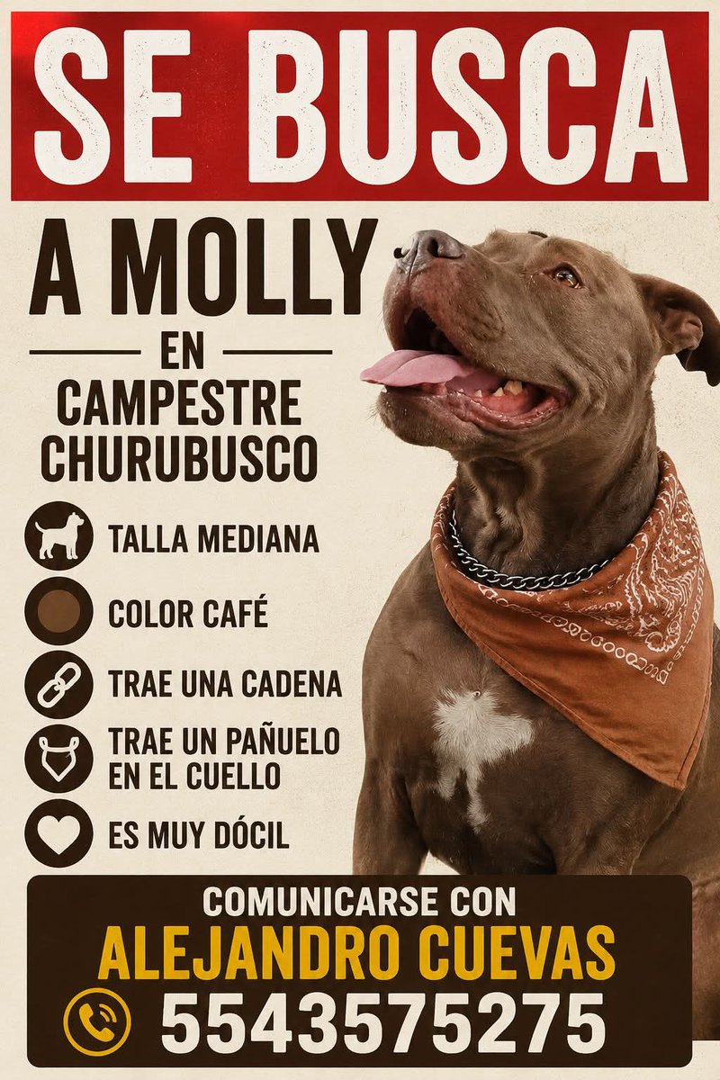 por_perros's tweet photo. https://t.co/bsOk35rHz5