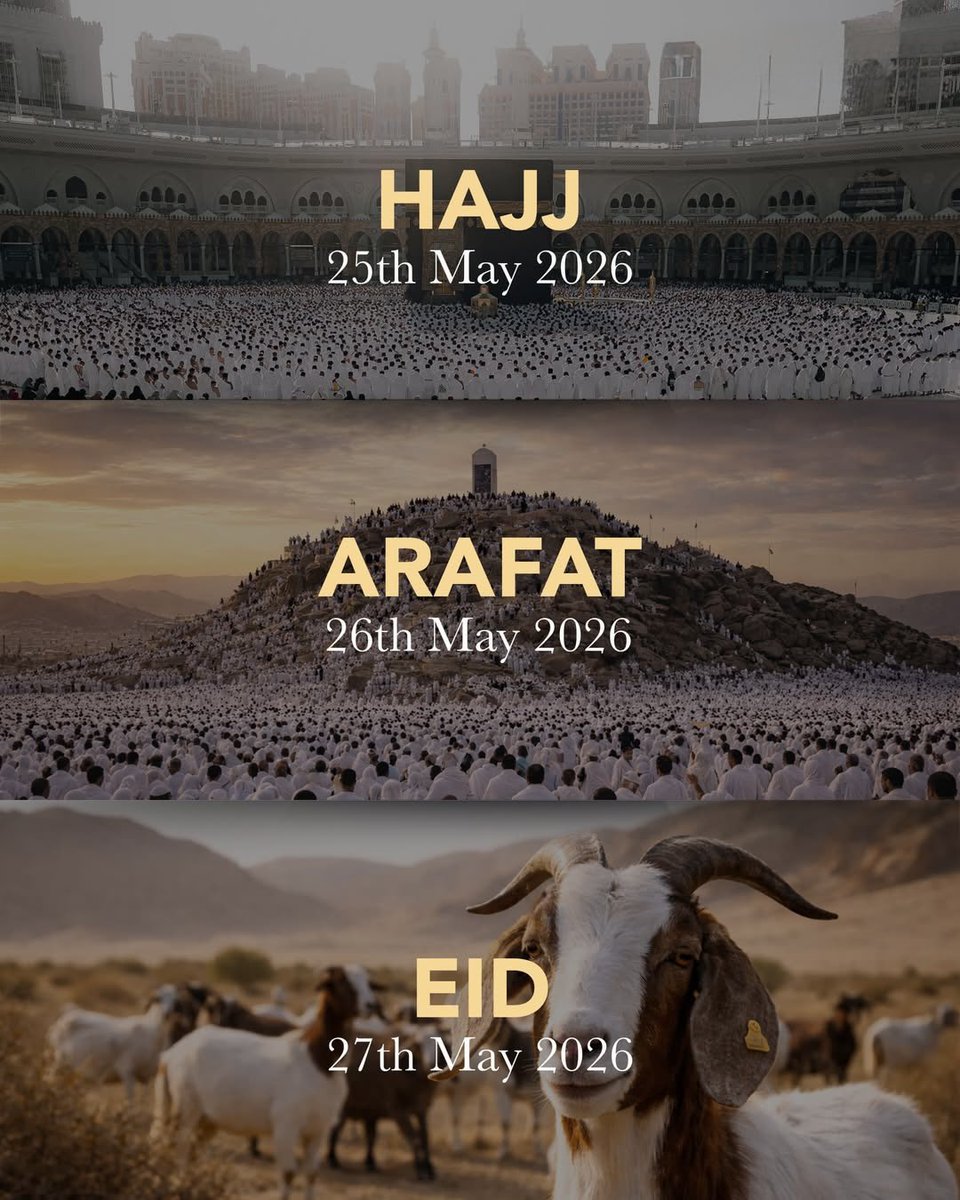 Allah Islam Quran tweet media