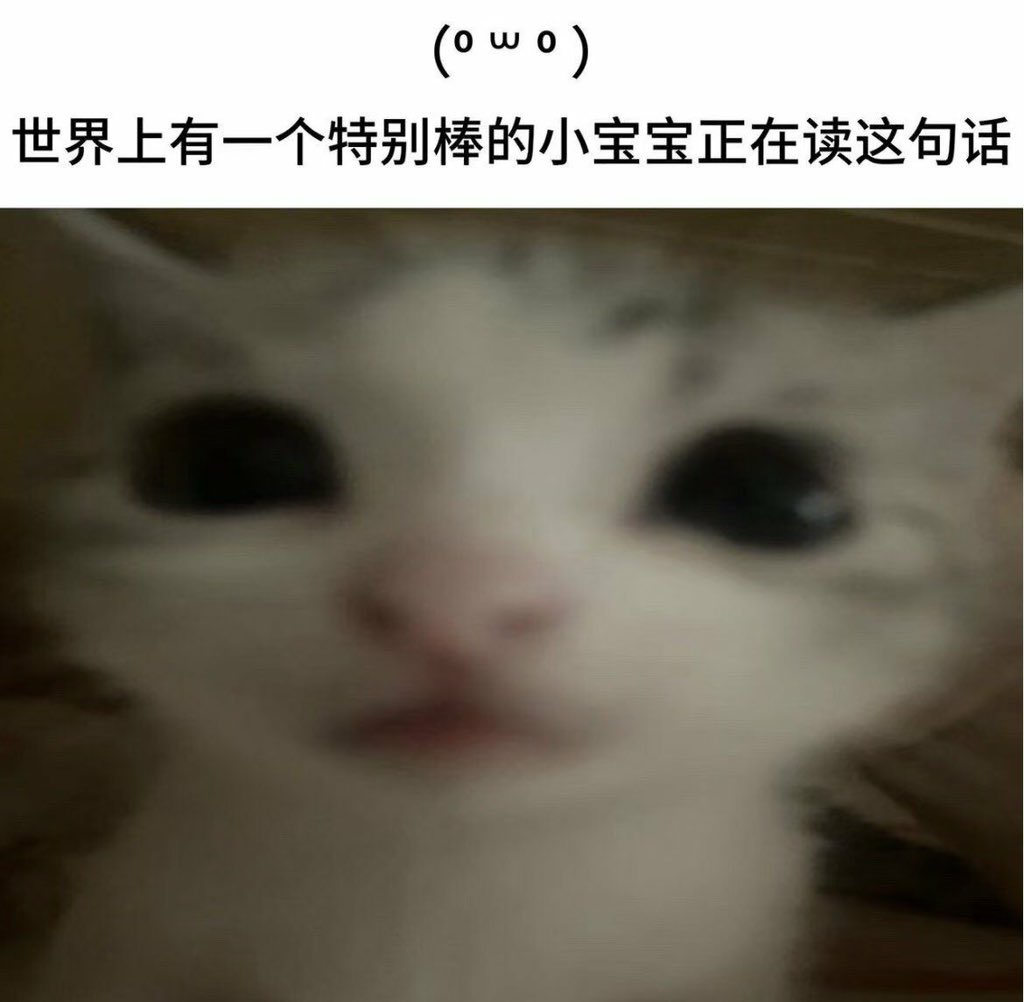 子子 tweet media