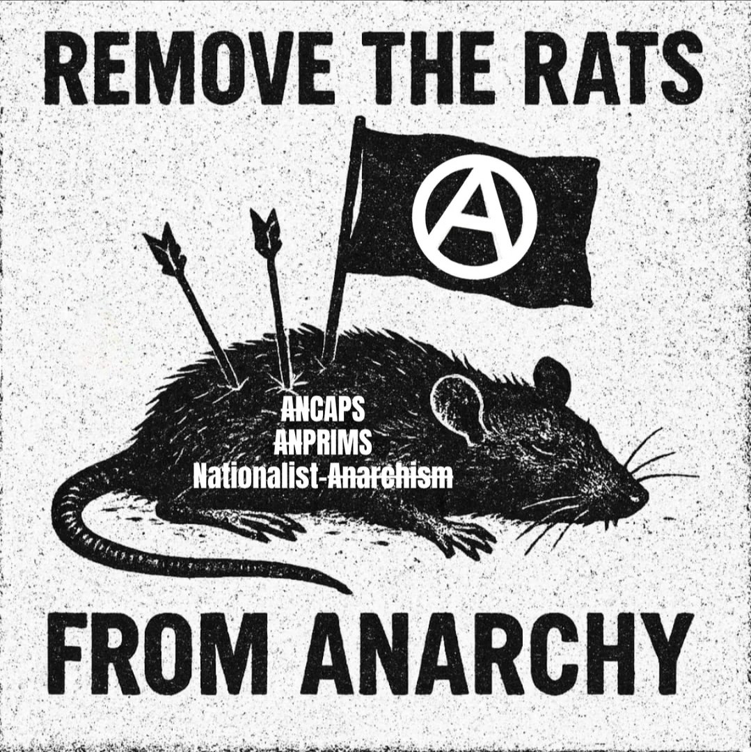 Raum🏴🚩 tweet media