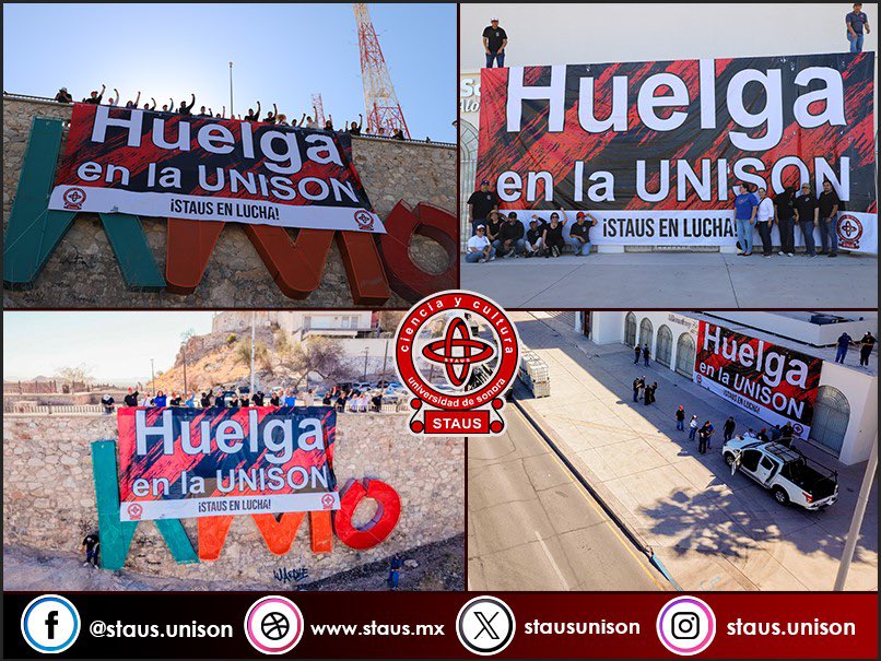 STAUS en Línea tweet media