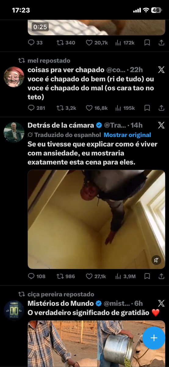 nola, querida tweet media