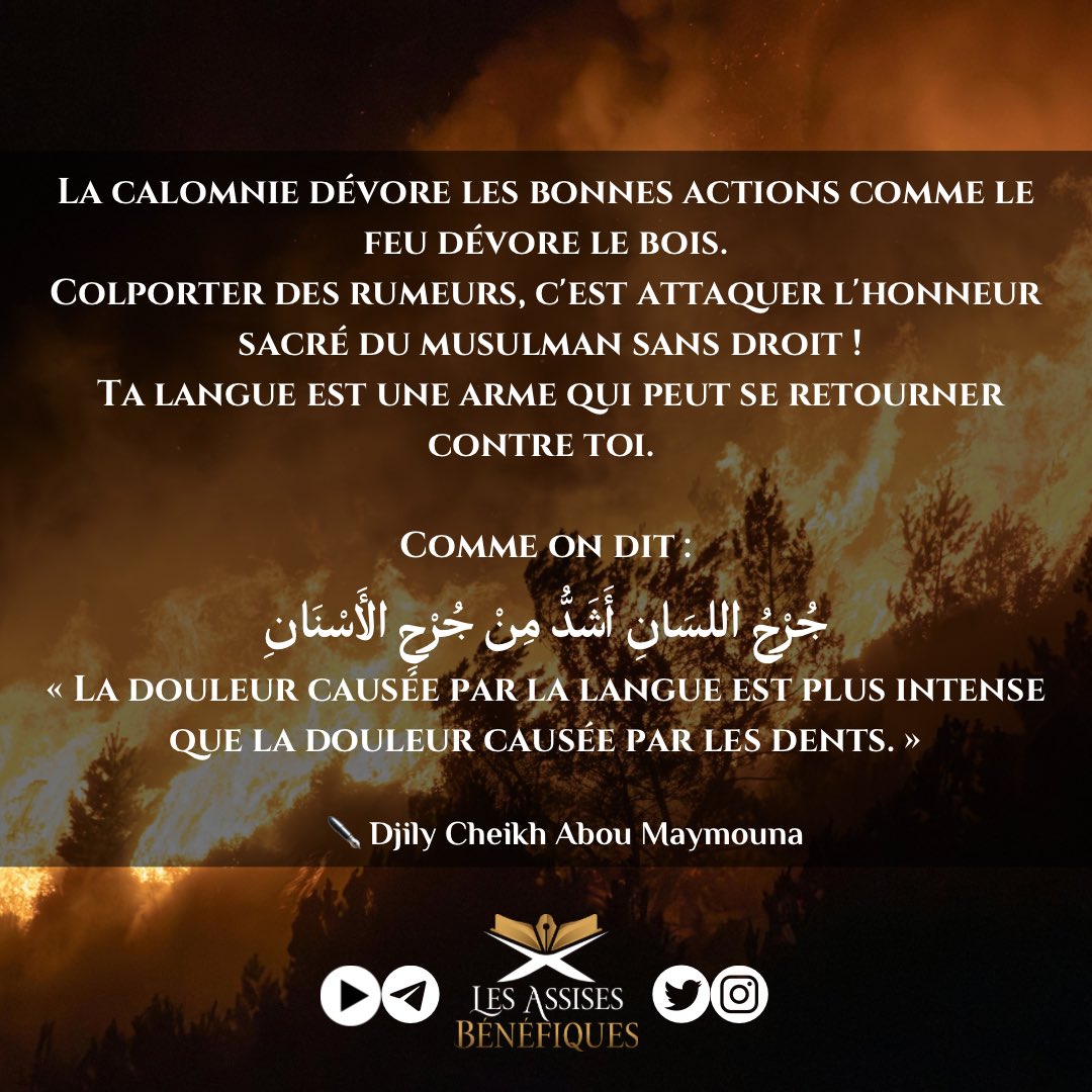 AssisesBenef1's tweet photo. La calomnie dévore les bonnes actions comme le feu dévore le bois… https://t.co/wp0SLbLB1P
