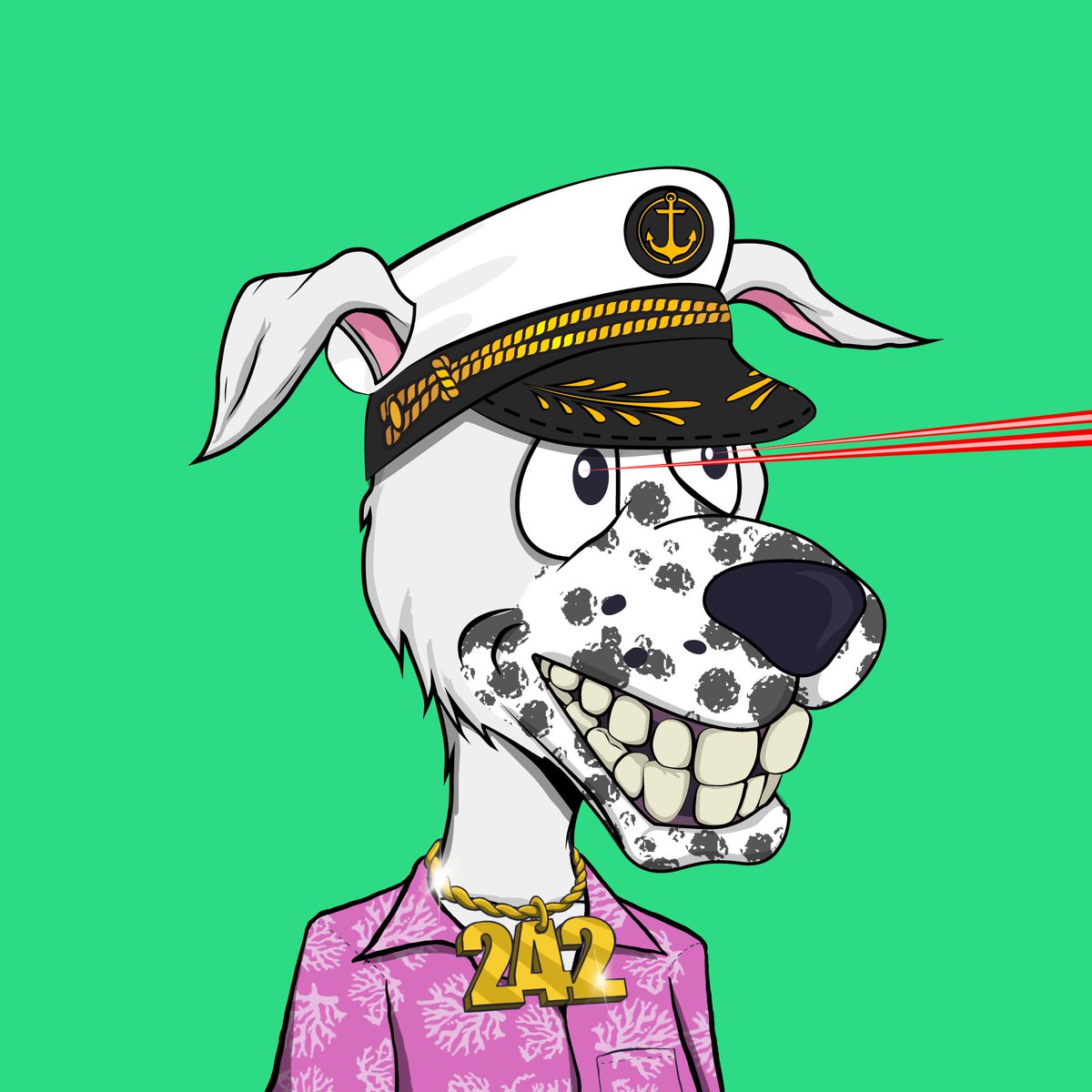 Potcake Rescue 🏝🐕 tweet media