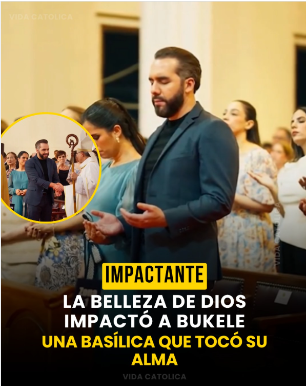 #ÚltimaHora tweet media