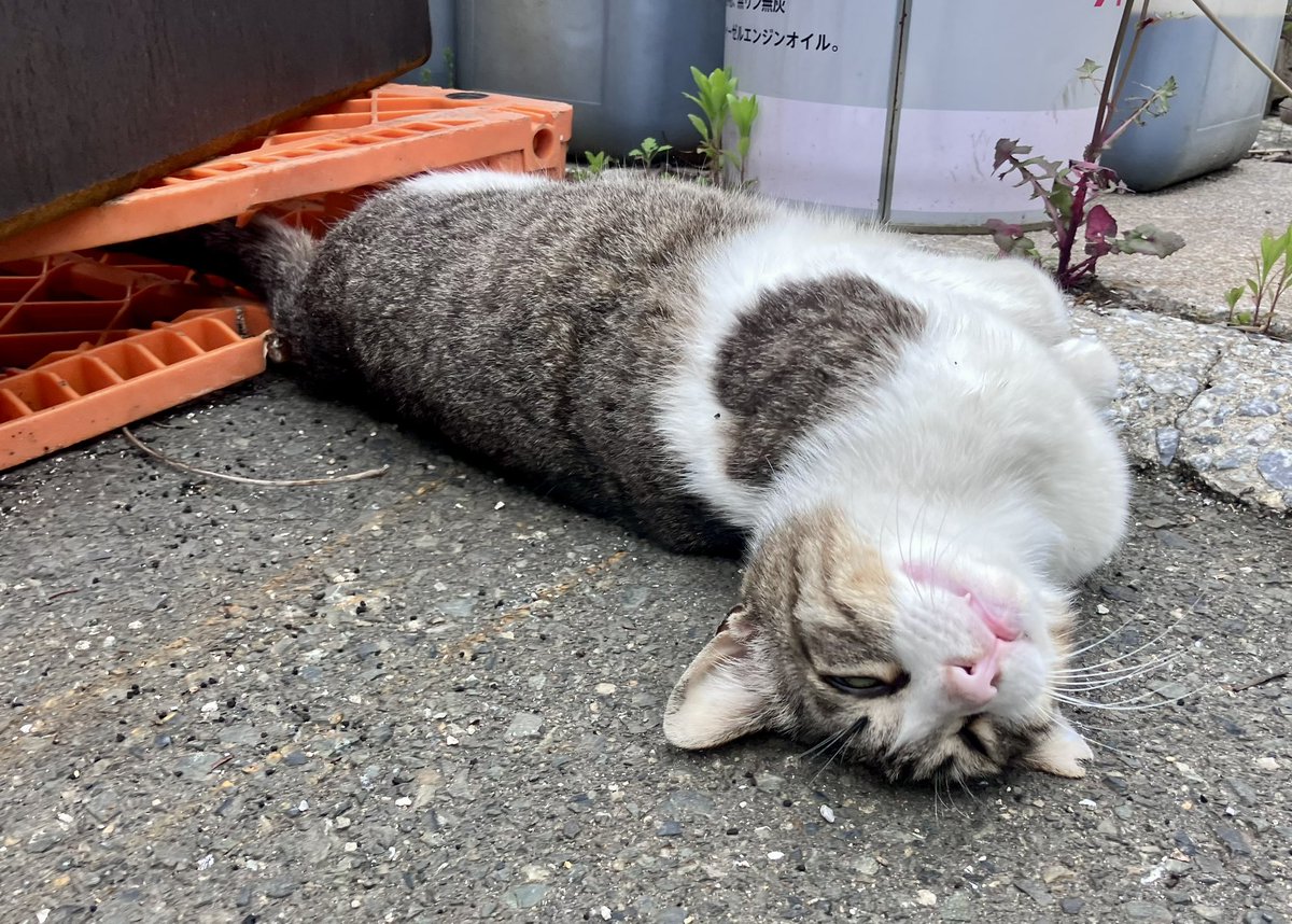 おはようございます！