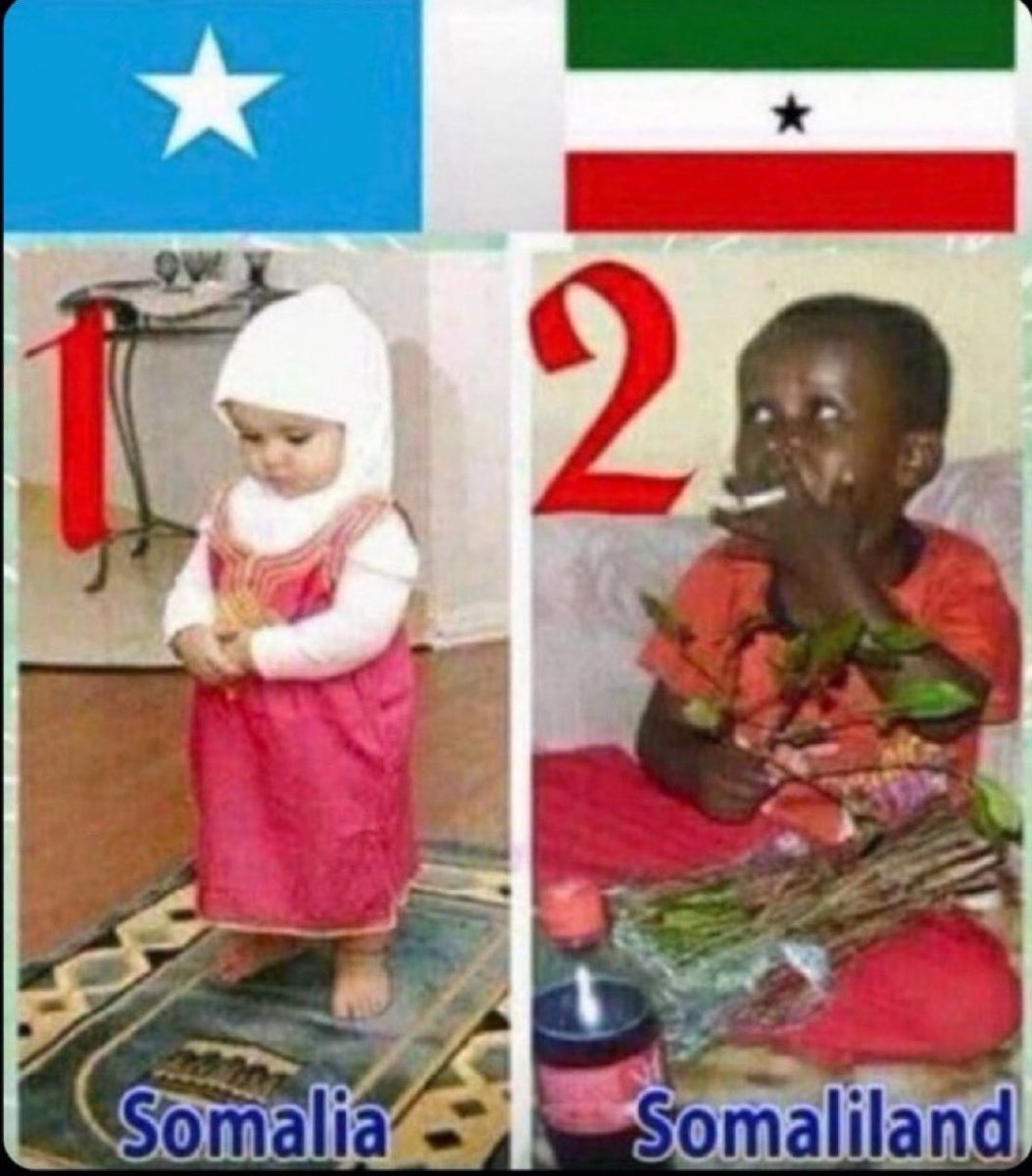 🇸🇴 tweet media