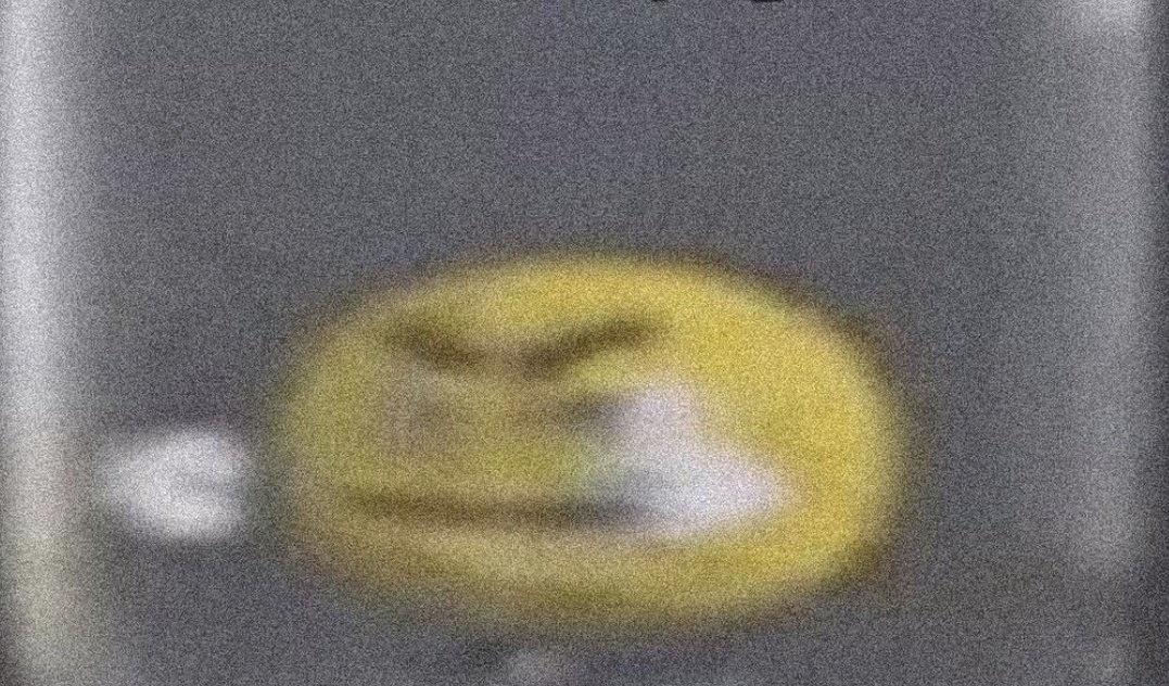 nvvarroo tweet picture