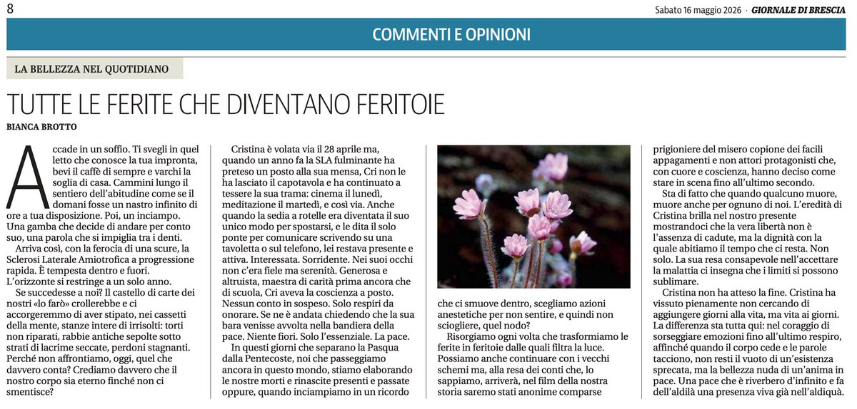 BiancaBrotto's tweet photo. FERITE CHE DIVENTANO FERITOIE
Giornale di Brescia, 16 maggio 2026
https://t.co/sJatlkGpWH https://t.co/xwFUYFGTgp