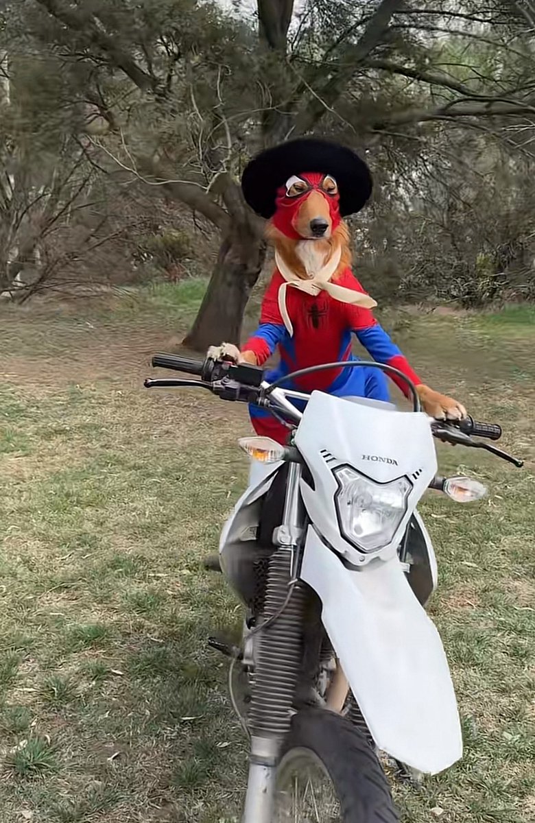 bagworkr's tweet photo. Bros boutta save the day https://t.co/YwJe9zVMId