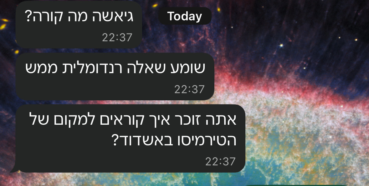 גיאשה tweet media