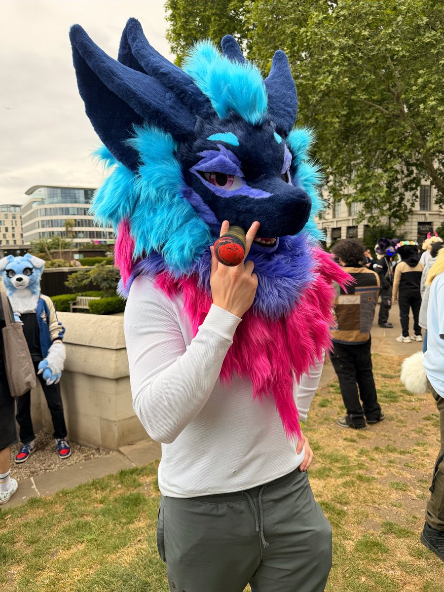 Nightphin tweet media
