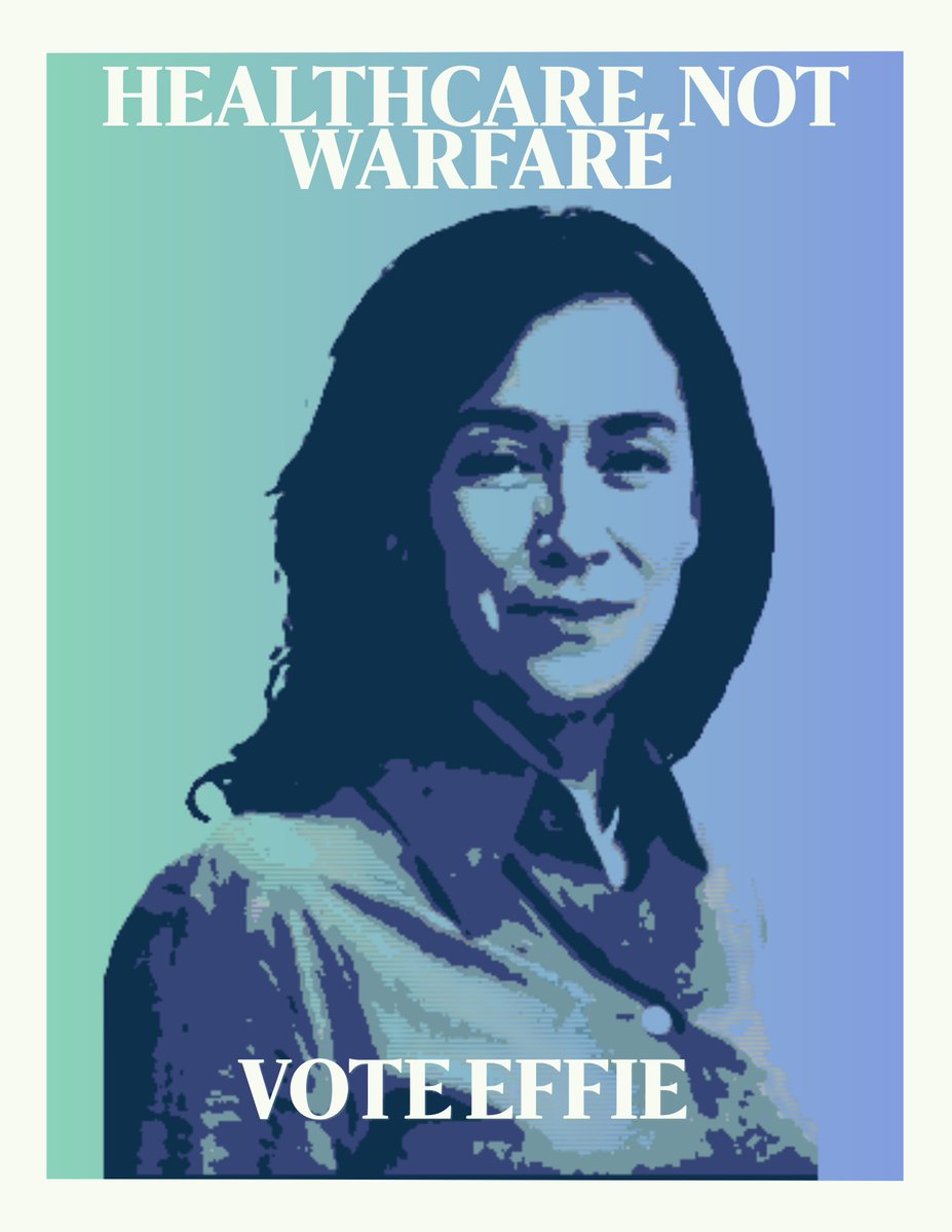 Effie for Congress NY17 tweet media